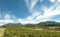 a field with a mountain in the background