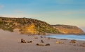 a group of people on a beach with a mountain in the background