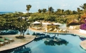 a row of palm trees next to a pool of water