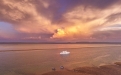 a group of clouds in the sand near a body of water