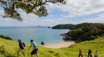 a group of people walking on a beach