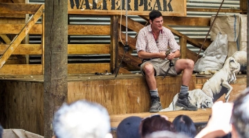 a man sitting on a bench with a dog