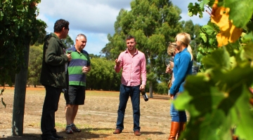 a group of people that are standing in the grass