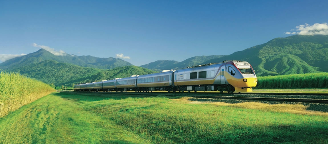 a train traveling through a lush green field