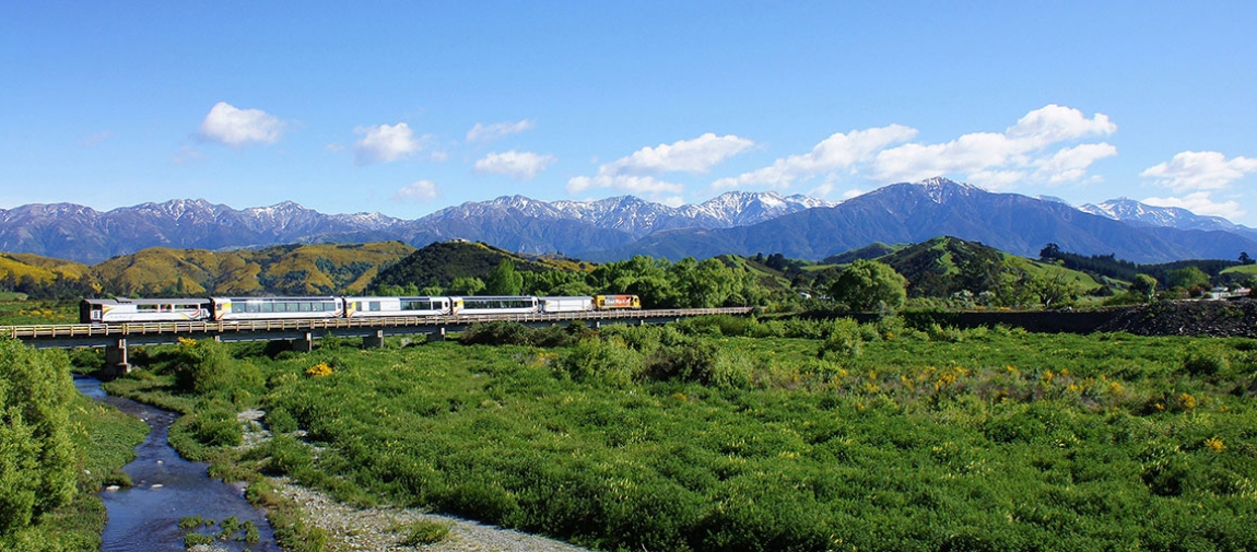 a train on a lush green hillside