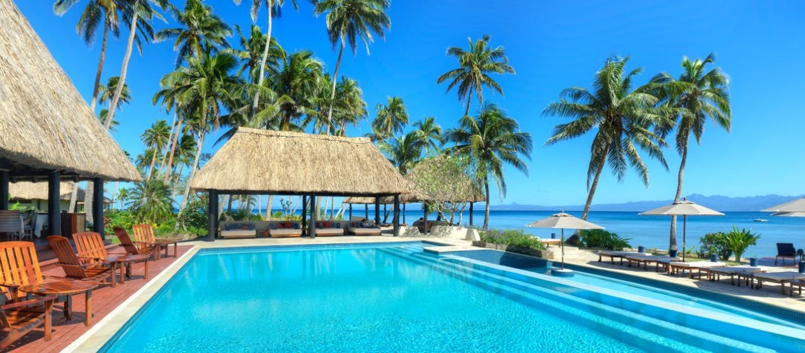 a group of palm trees next to a pool of water