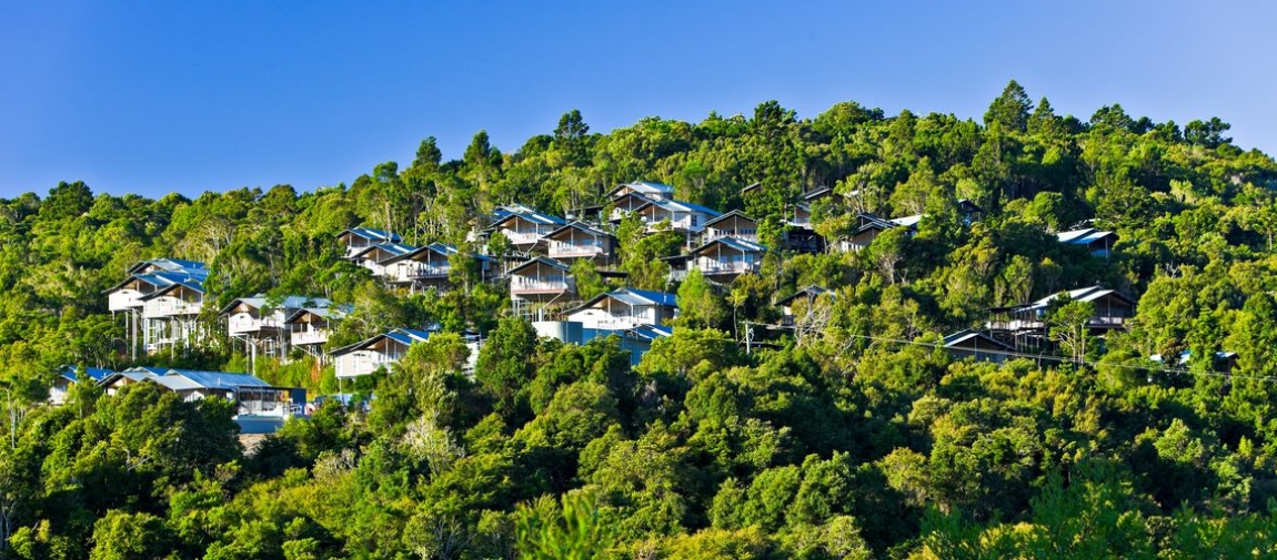 O Reillys Rainforest Retreat Mountain Villas Austravel O Reillys Rainforest Retreat Mountain Villas Austravel