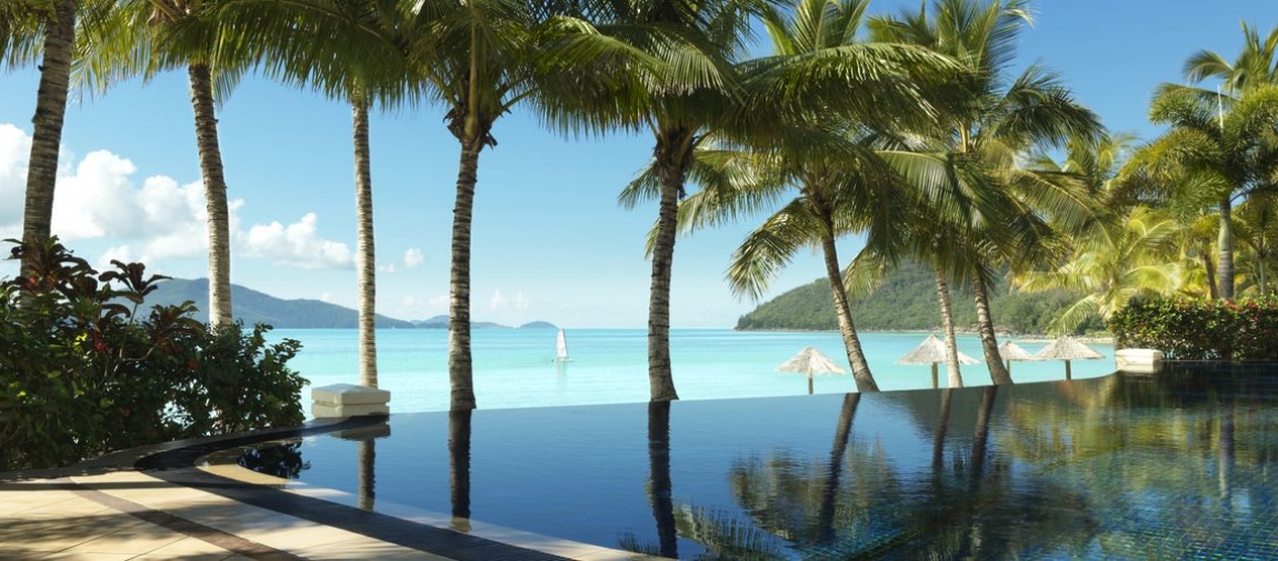 a group of palm trees next to a body of water