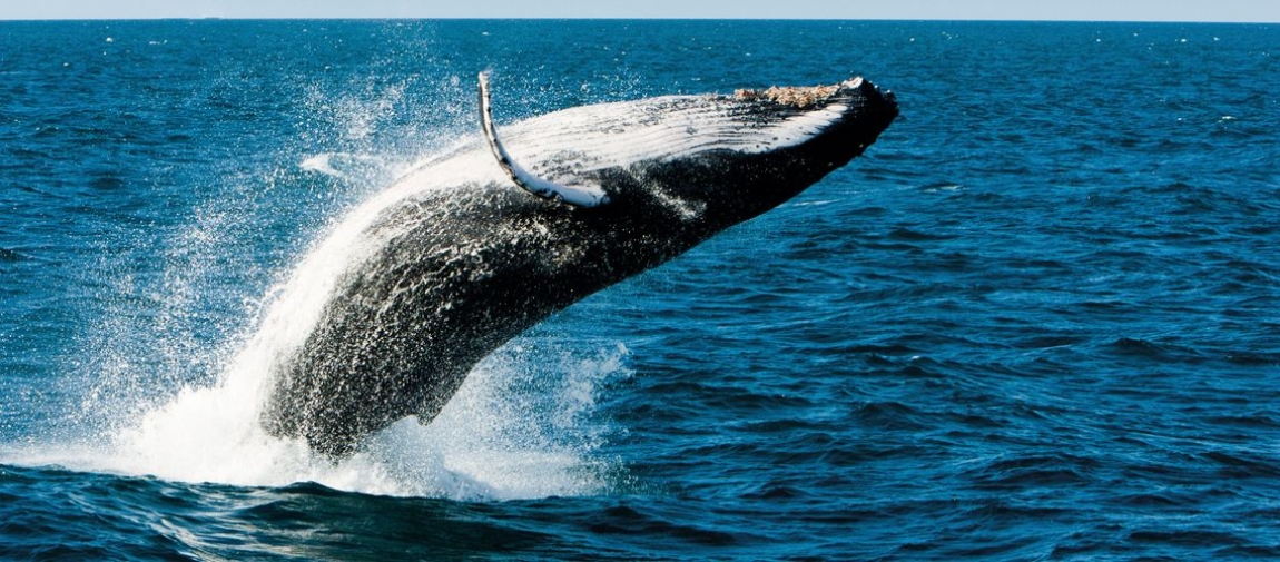 a man riding a wave on top of a body of water