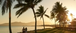 a group of palm trees on a beach near a body of water