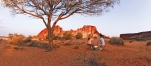 a man walking down a dirt road in front of a tree