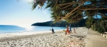 a man standing next to a palm tree on a beach