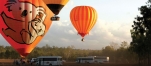 Hot air balloons in Cairns