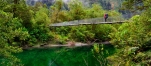 a train going down the river in a forest