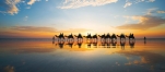 a group of people riding horses on a beach