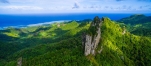 a close up of a lush green hillside