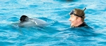 a person swimming in a pool of water