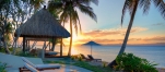 a group of palm trees on a beach near a body of water