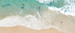 a group of people surfing in the ocean