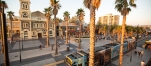 a group of palm trees with a building in the background