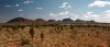 a field with Kata Tjuta in the background