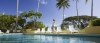 a group of palm trees next to a pool of water