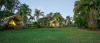 a palm tree in front of a house