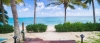 a beach with a palm tree in front of a body of water