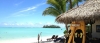 a beach with a palm tree in front of a body of water