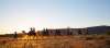 a group of people riding on the back of a horse