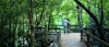 a person sitting on a bench next to a tree