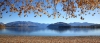 a flock of birds flying over a body of water