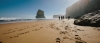 a group of people on a beach