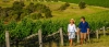 a person that is standing in the grass near a fence