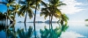 a group of palm trees next to a body of water