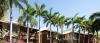 a palm tree in front of a building