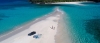 a group of people swimming in a pool of water