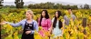 a group of people standing in the grass